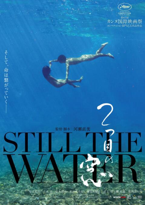 第二扇窗(全集)