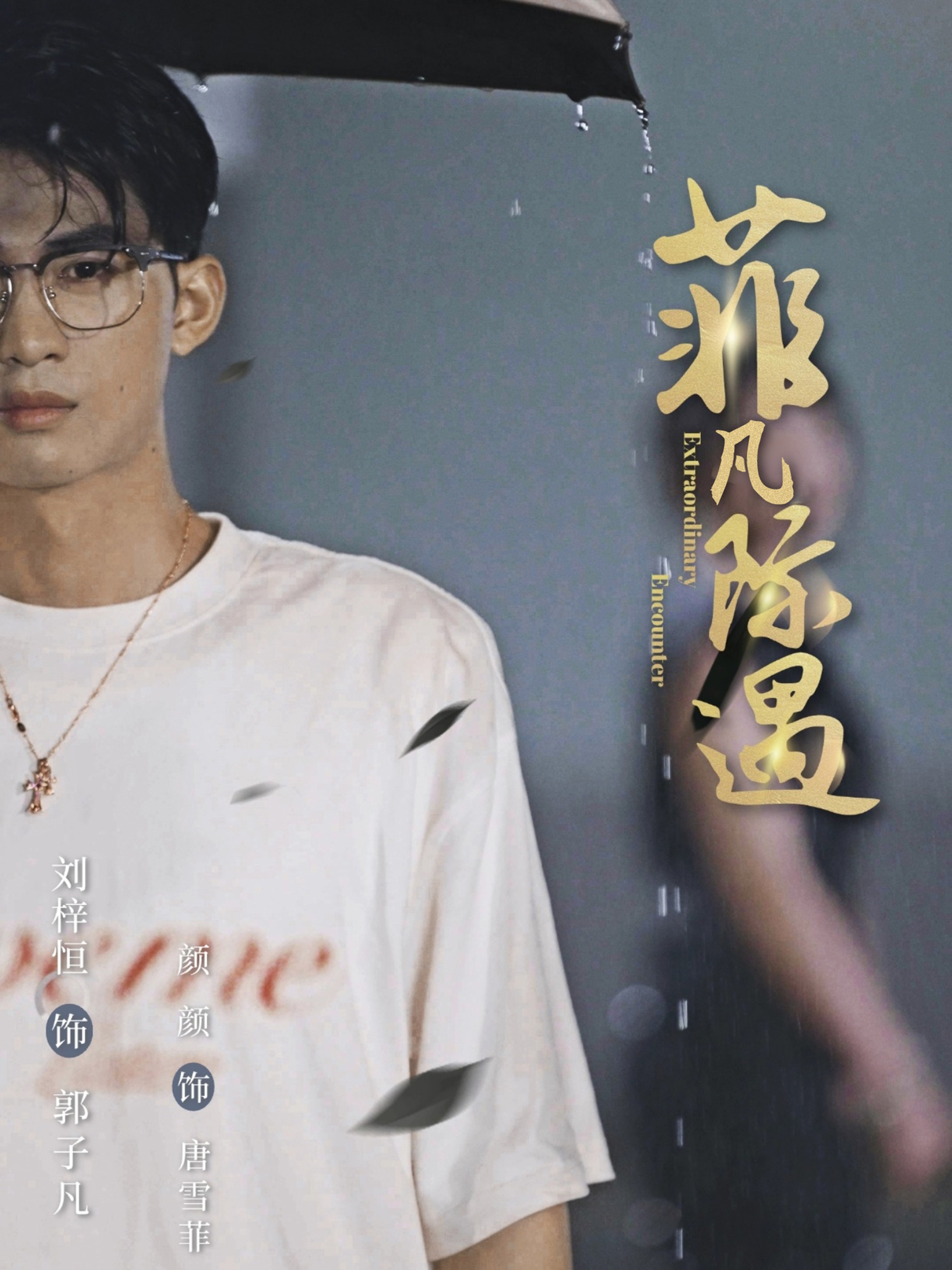 菲凡际遇(全集)