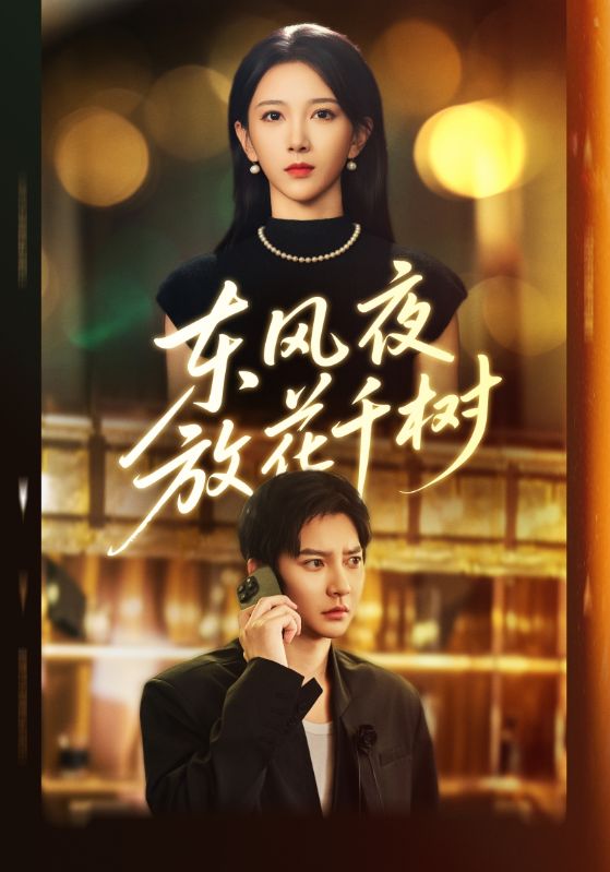 东风夜放花千树(全集)