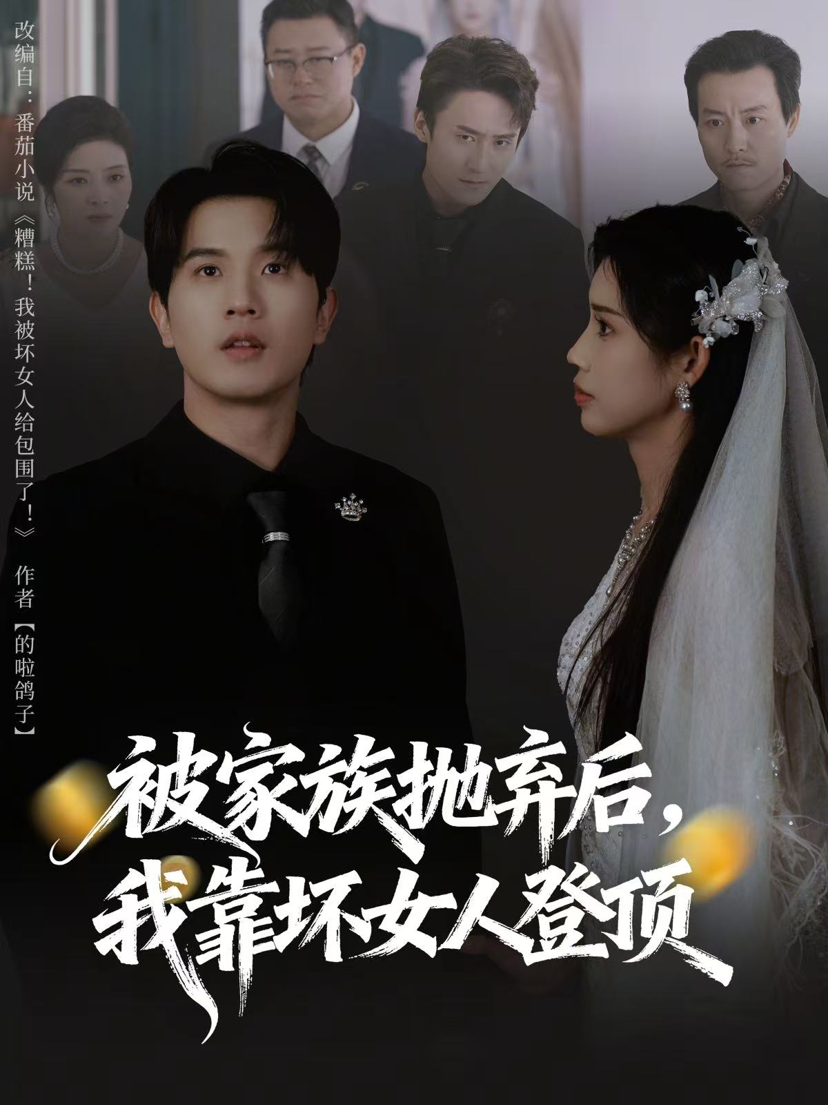 被家族抛弃后，我靠坏女人登顶(全集)